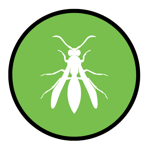 Fortified I Las Vegas Pest Control